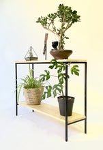 Load image into Gallery viewer, El Capitan Console Table with 2 shelves