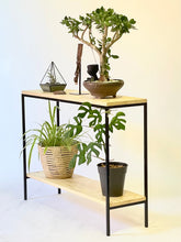 Load image into Gallery viewer, El Capitan Console Table with 2 shelves
